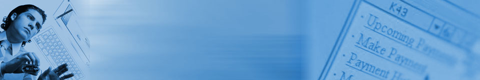Bespoke Software Development Services